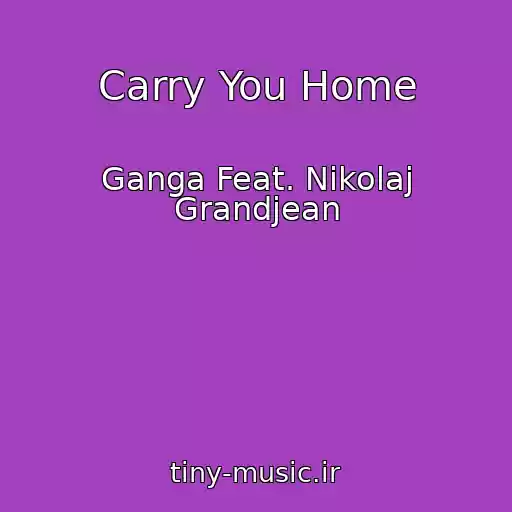 کاور آهنگ Carry You Home از Ganga Feat. Nikolaj Grandjean
