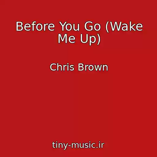 کاور آهنگ Before You Go (Wake Me Up) از Chris Brown