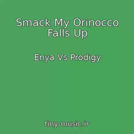 کاور آهنگ Smack My Orinocco Falls Up از Enya Vs Prodigy