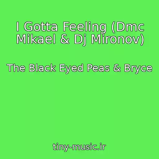 کاور آهنگ I Gotta Feeling (Dmc Mikael & Dj Mironov) از The Black Eyed Peas & Bryce