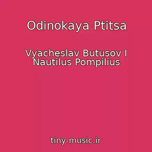 کاور آهنگ Odinokaya Ptitsa از Vyacheslav Butusov I Nautilus Pompilius