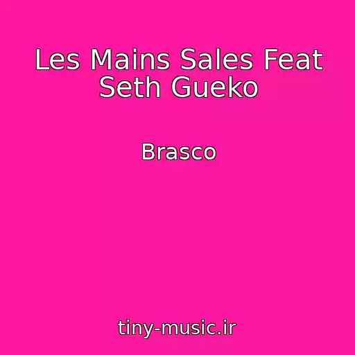 کاور آهنگ Les Mains Sales Feat Seth Gueko از Brasco