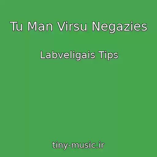 کاور آهنگ Tu Man Virsu Negazies از Labveligais Tips