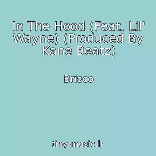 کاور آهنگ In The Hood (Feat. Lil' Wayne) (Produced By Kane Beatz) از Brisco
