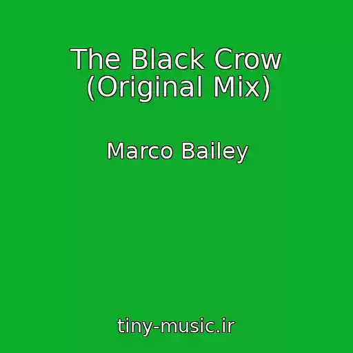 کاور آهنگ The Black Crow (Original Mix) از Marco Bailey