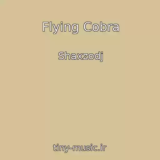 کاور آهنگ Flying Cobra از Shaxzodj