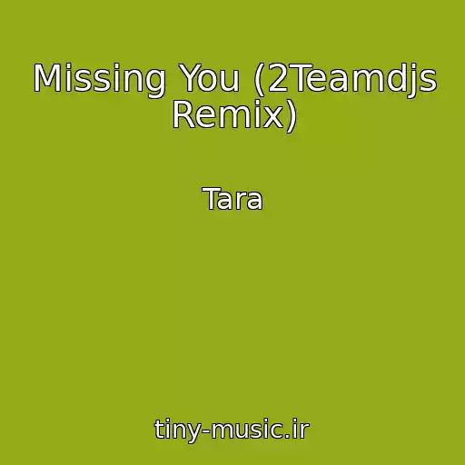 کاور آهنگ Missing You (2Teamdjs Remix) از Tara