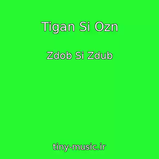 کاور آهنگ Tigan Si Ozn از Zdob Si Zdub