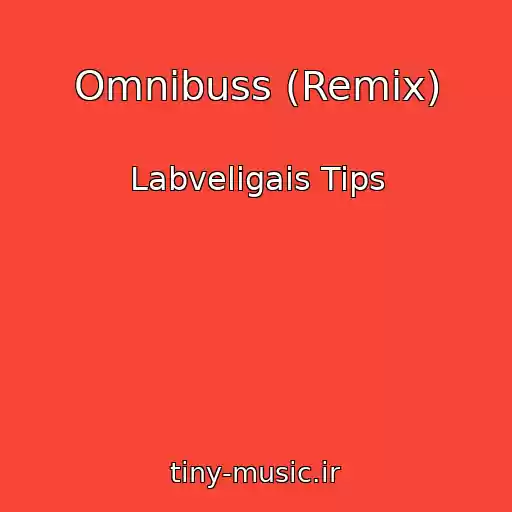 کاور آهنگ Omnibuss (Remix) از Labveligais Tips
