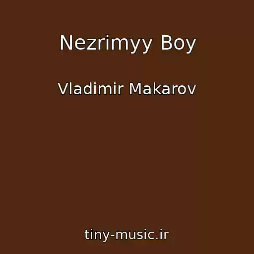 کاور آهنگ Nezrimyy Boy از Vladimir Makarov