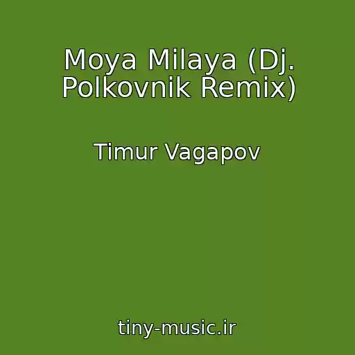 کاور آهنگ Moya Milaya (Dj. Polkovnik Remix) از Timur Vagapov