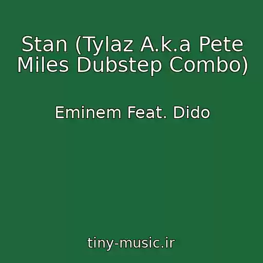 کاور آهنگ Stan (Tylaz A.k.a Pete Miles Dubstep Combo) از Eminem Feat. Dido