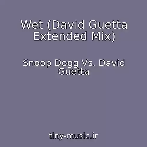 کاور آهنگ Wet (David Guetta Extended Mix) از Snoop Dogg Vs. David Guetta