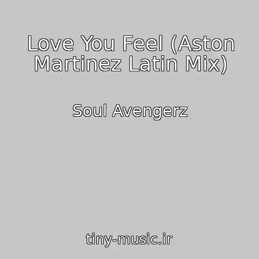 کاور آهنگ Love You Feel (Aston Martinez Latin Mix) از Soul Avengerz