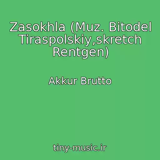 کاور آهنگ Zasokhla (Muz. Bitodel Tiraspolskiy,skretch Rentgen) از Akkur Brutto