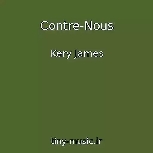 کاور آهنگ Contre-Nous از Kery James
