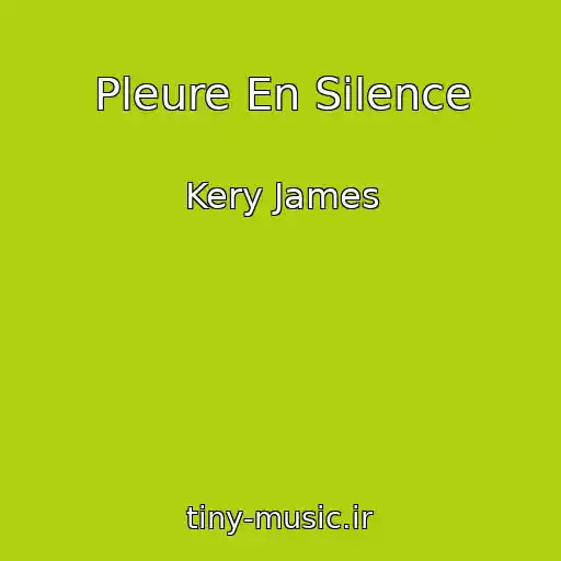 کاور آهنگ Pleure En Silence از Kery James