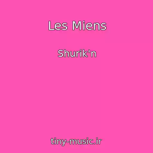 کاور آهنگ Les Miens از Shurik'n
