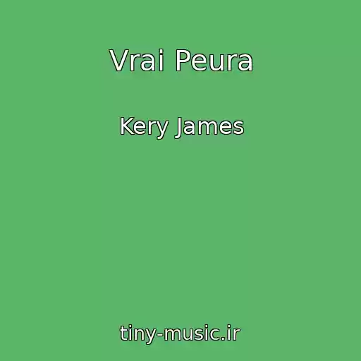 کاور آهنگ Vrai Peura از Kery James