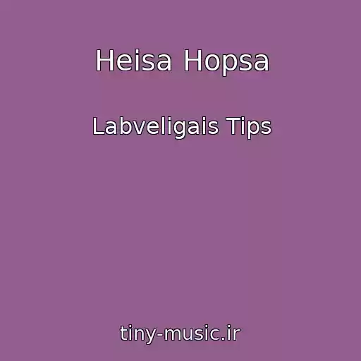 کاور آهنگ Heisa Hopsa از Labveligais Tips