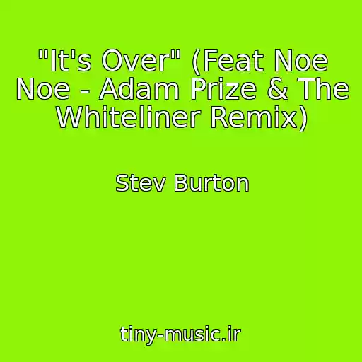 کاور آهنگ "It's Over" (Feat Noe Noe - Adam Prize & The Whiteliner Remix) از Stev Burton