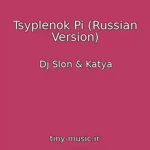کاور آهنگ Tsyplenok Pi (Russian Version) از Dj Slon & Katya