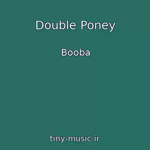 کاور آهنگ Double Poney از Booba