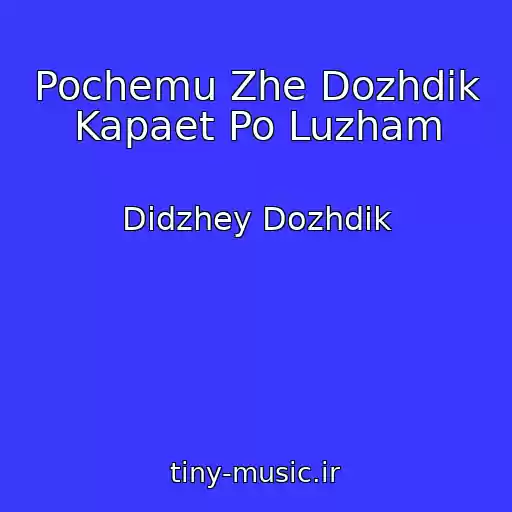 کاور آهنگ Pochemu Zhe Dozhdik Kapaet Po Luzham از Didzhey Dozhdik