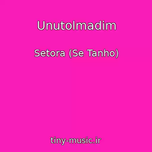 کاور آهنگ Unutolmadim از Setora (Se Tanho)