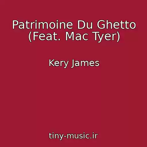 کاور آهنگ Patrimoine Du Ghetto (Feat. Mac Tyer) از Kery James