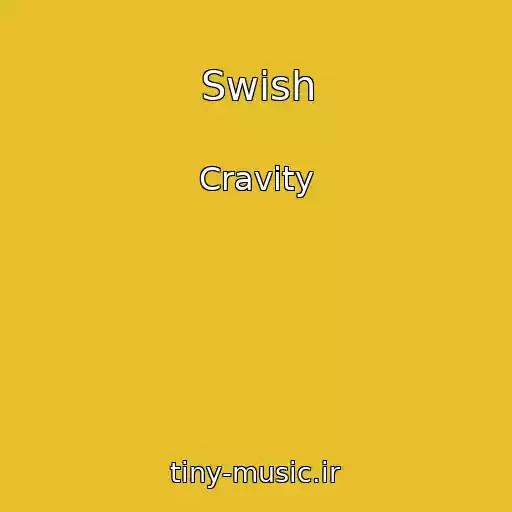 کاور آهنگ Swish از Cravity