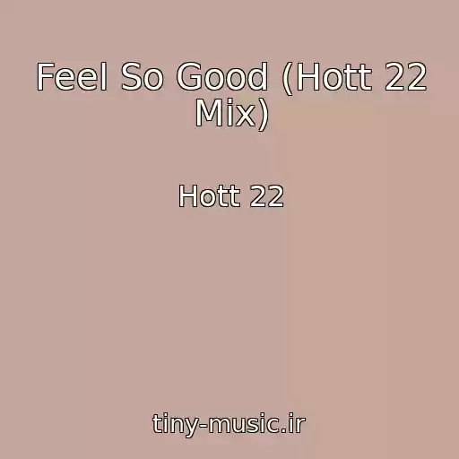 کاور آهنگ Feel So Good (Hott 22 Mix) از Hott 22