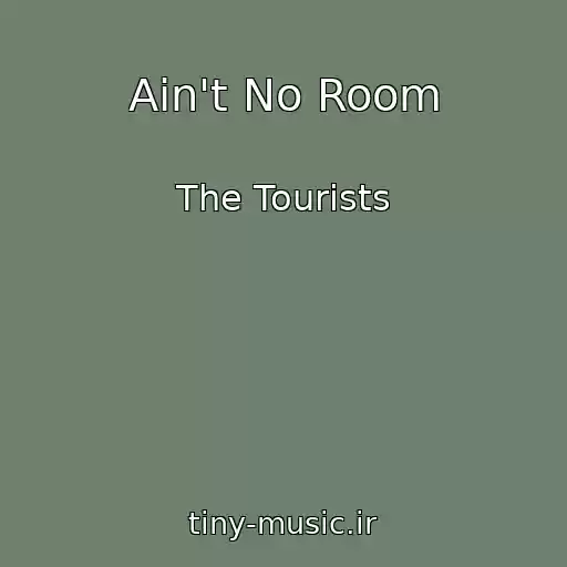 کاور آهنگ Ain't No Room از The Tourists