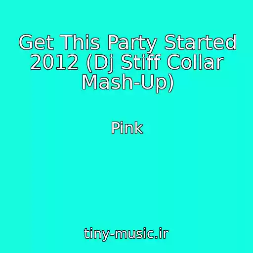 کاور آهنگ Get This Party Started 2012 (Dj Stiff Collar Mash-Up) از Pink