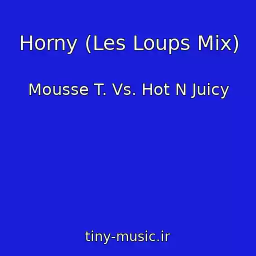 کاور آهنگ Horny (Les Loups Mix) از Mousse T. Vs. Hot N Juicy