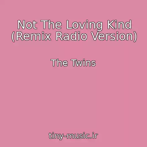 کاور آهنگ Not The Loving Kind (Remix Radio Version) از The Twins