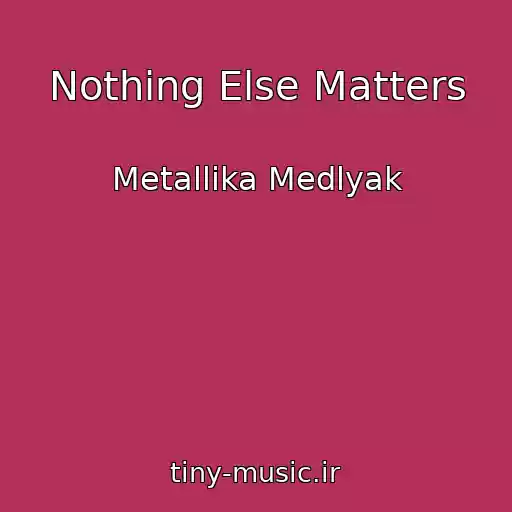 کاور آهنگ Nothing Else Matters از Metallika Medlyak