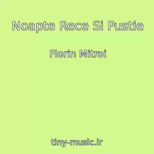 کاور آهنگ Noapte Rece Si Pustie از Florin Mitroi