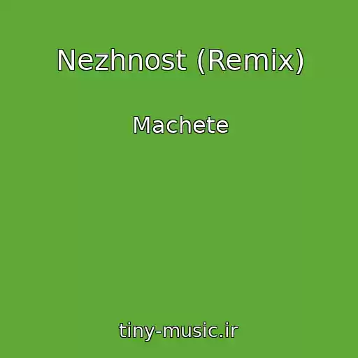 کاور آهنگ Nezhnost (Remix) از Machete