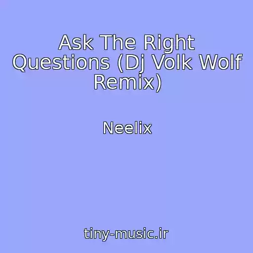 کاور آهنگ Ask The Right Questions (Dj Volk Wolf Remix) از Neelix