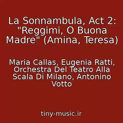کاور آهنگ La Sonnambula, Act 2: "Reggimi, O Buona Madre" (Amina, Teresa) از Maria Callas, Eugenia Ratti, Orchestra Del Teatro Alla Scala Di Milano, Antonino Votto