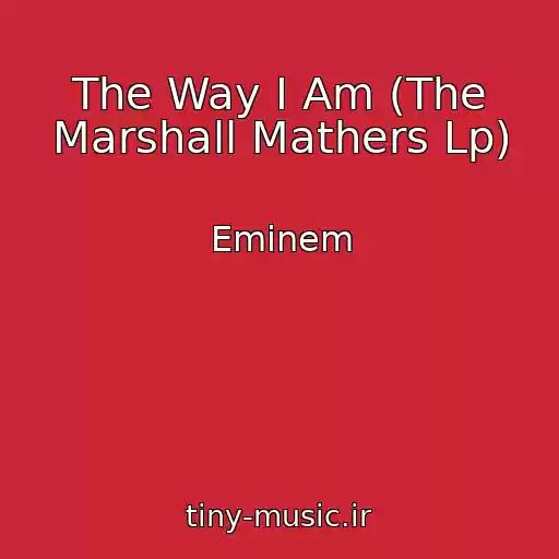 کاور آهنگ The Way I Am (The Marshall Mathers Lp) از Eminem
