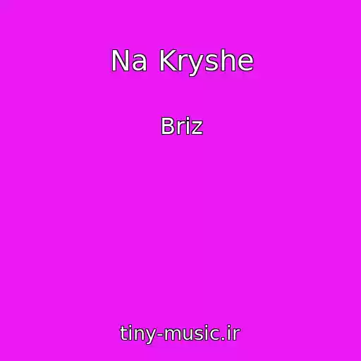 کاور آهنگ Na Kryshe از Briz