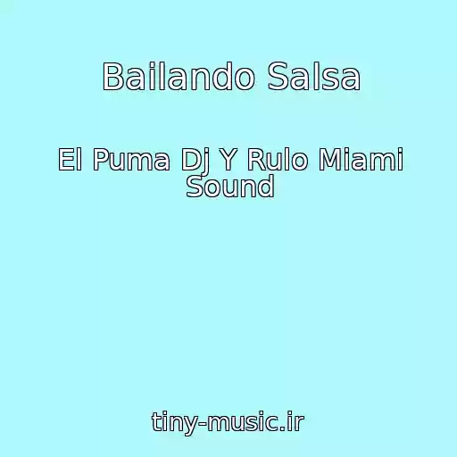 کاور آهنگ Bailando Salsa از El Puma Dj Y Rulo Miami Sound