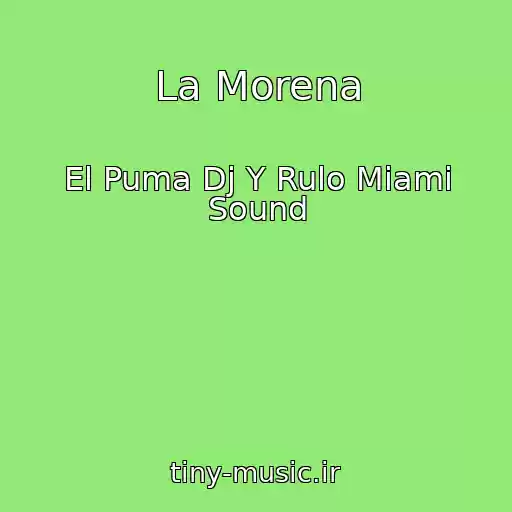 کاور آهنگ La Morena از El Puma Dj Y Rulo Miami Sound