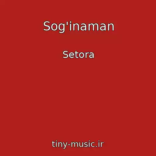 کاور آهنگ Sog'inaman از Setora