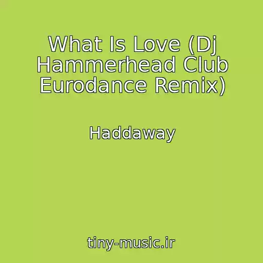 کاور آهنگ What Is Love (Dj Hammerhead Club Eurodance Remix) از Haddaway