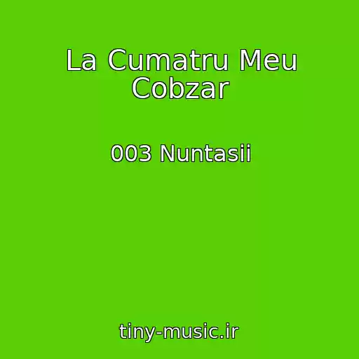 کاور آهنگ La Cumatru Meu Cobzar از 003 Nuntasii