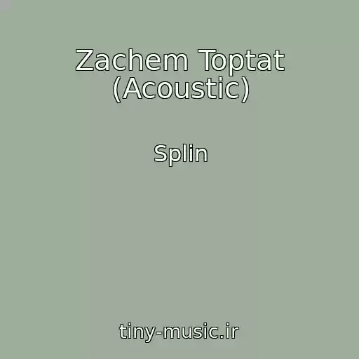 کاور آهنگ Zachem Toptat (Acoustic) از Splin
