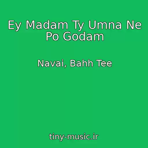 کاور آهنگ Ey Madam Ty Umna Ne Po Godam از Navai, Bahh Tee